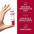 Eucerin Lip Repair Creme - 3