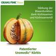 Granu Fink Blase Hartkapseln - 4
