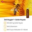 Zell Oxygen + Gelee Royale 600 mg Trinkampullen - 2