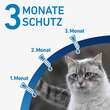 FRONTLINE SPOT ON Katze - 4