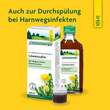 L&ouml;wenzahn Saft Schoenenberger HPS - 4