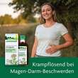 Schafgarben Saft Schoenenberger - 2
