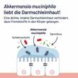 Probio-Cult AKK1 Akkermansia Syxyl Tabletten - 5