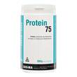 Protein 75 Vanille Pulver - 1