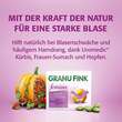 GRANU FINK® femina Kapseln - 2