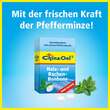 China &Ouml;l Hals- und Hustenbonbons ohne Zucker - 2