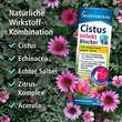 Klosterfrau Cistus Infekt Blocker Mundspray - 4
