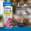 Klosterfrau Cistus Infekt Blocker Mundspray - 6