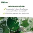 Original Spirulina Tabletten - 6