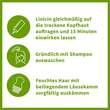 Linicin® Lotion 15 min mit L&auml;usekamm - 6