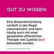 Cystinol akut® Dragees - 6