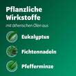 Bronchoforton® Salbe - 5