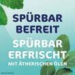 Rhinospray Plus Nasenspray - 3