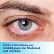Bepanthen Augen- und Nasensalbe zur F&ouml;rderung der Wundheilung - 4