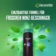 nicorette Mint Spray mit 1 mg Nikotin pro Spr&uuml;hsto&szlig; - 6