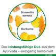 Curcumin-Loges plus Boswellia Kapseln - 2