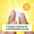 Cetebe Abwehr Fit Lutschtabletten - 6