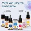 Bachbl&uuml;ten Murnauers Tropfen Schlaf Gut - 4
