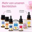 Bachbl&uuml;ten Murnauer Kaugummi Bleib gelassen - 4