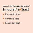 Sinupret® eXtract Tabletten - 2