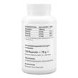 Ingwer Kapseln 500 mg - 2