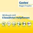 GASTEO Tropfen bei Magen-Darm-Beschwerden - 8