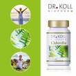 Chlorella Dr. Koll Tabletten - 3