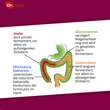 Probiocolon Gewichtsreduktion Dr. Wolz Pulver - 3