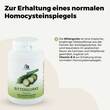 Bittergurke 500 mg 10:1 Extrakt Kapseln - 2