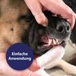Canosept Zahnpflege Finger-Pads f&uuml;r Hunde - 4