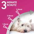 FRONTLINE TRI-ACT gegen Zecke, Floh und fliegende Insekten bei Hunden (10-20kg) - 4