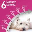 FRONTLINE TRI-ACT gegen Zecke, Floh und fliegende Insekten bei Hunden (40-60kg) - 4