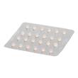 Lega Phyton 50 Erg.Futterm.Tabletten f&uuml;r Hunde / Katzen - 2