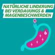 GAVINatura Lutschtabletten bei Verdauungsbeschwerden &amp; Sodbrennen - 4