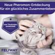 Feliway Optimum Nachf&uuml;llflakon L&ouml;sung f&uuml;r Vern.f&uuml;r Katzen - 5