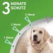 FRONTLINE COMBO gegen Zecken, Fl&ouml;he bei Hunden M (10-20 kg) - 4