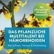 FAKTU lind H&auml;morrhoidenz&auml;pfchen mit Hamamelis - 3