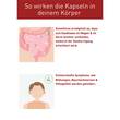 N1 Reizdarm-Syndrom Kapseln - 6