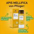Apis Mellifica D12 Globuli Pfl&uuml;ger Dosierspender - 3