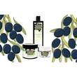 Plantana Olive Pflege Duschbad mit Bio-Olive - 6