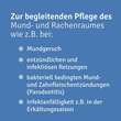 Repha OS Mund- und Rachenspray - 4