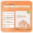 Lactobact Premium magensaftresistente Kapseln - 2