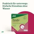 Floradix Eisen Sticks Pulver Salus - 3