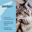 Gasteel Di&auml;t-Erg&auml;nzungsfuttermittel Kapseln f&uuml;r Hunde / Katzen - 3