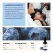 Blueiron Eisentropfen + Vitamin C - 5