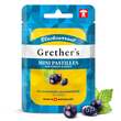 Grethers Blackcurrant zuckerfrei Past.Mini Beutel - 2