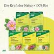 Cistus Spitzwegerich Tee Bio Filterbeutel - 5