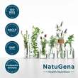 Roter Panax ginseng 20% Ginsenoside vegan Kapseln - 3