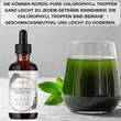 Chlorophyll-Tropfen aus Alfalfa Nordic Pure - 4