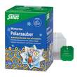 Polarzauber Fr&uuml;chte-Gew&uuml;rztee Bio Salus Filterbeutel  - 1